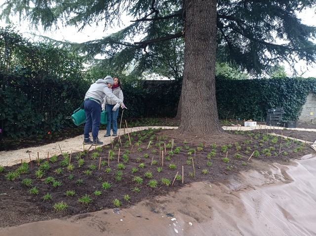 Il Giardino di Luciano