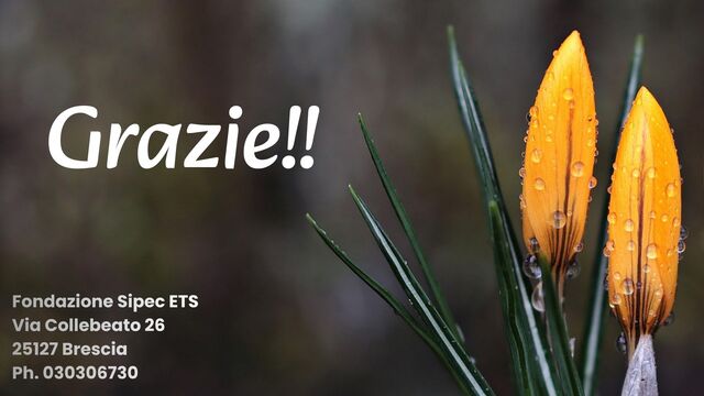 E' tempo di 5 per mille!